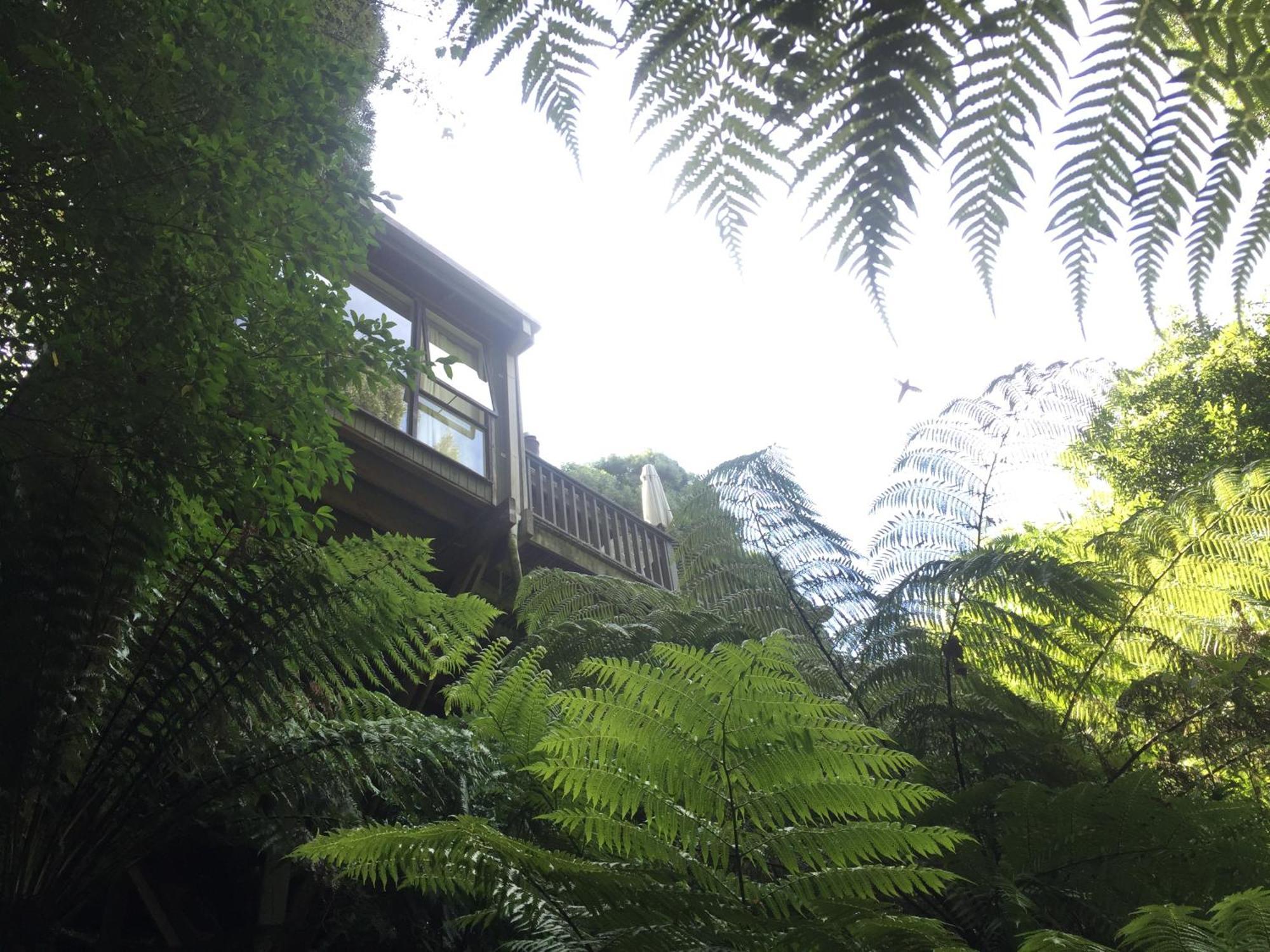 Sassafras Treehouse Private Home In The Dandenong Ranges, Victoria Екстериор снимка