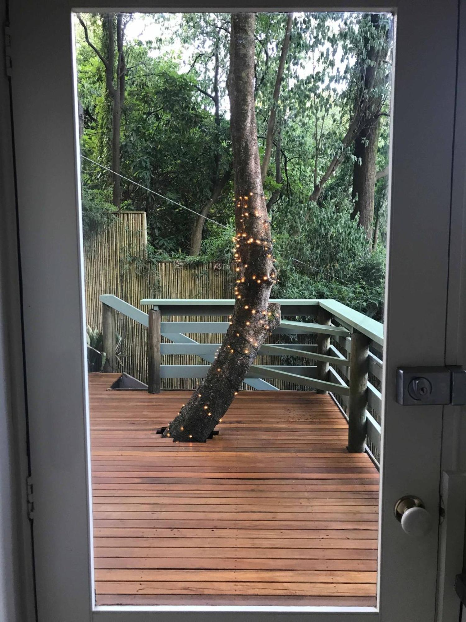 Sassafras Treehouse Private Home In The Dandenong Ranges, Victoria Екстериор снимка