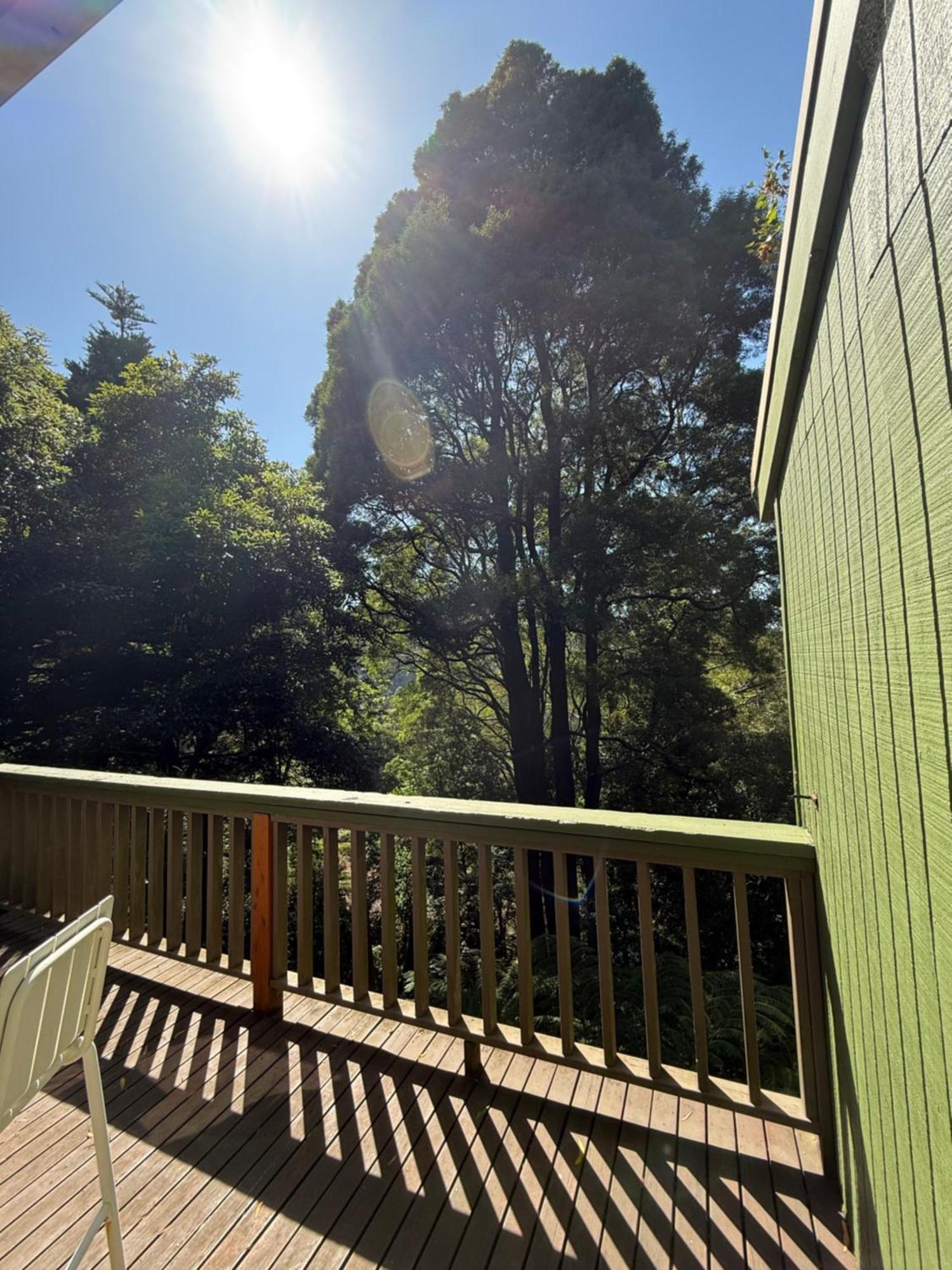 Sassafras Treehouse Private Home In The Dandenong Ranges, Victoria Екстериор снимка